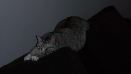 100_0681.jpg
