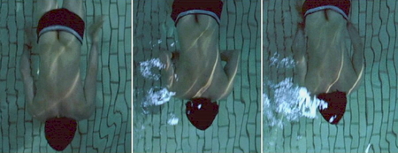 6pgx4j8.jpg