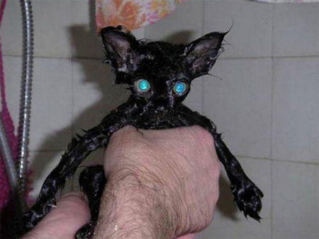 BATH-HATER-13.jpg