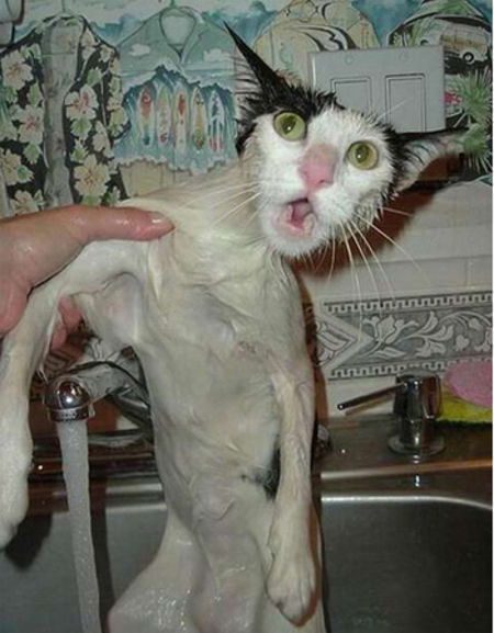 BATH-HATER-17.jpg