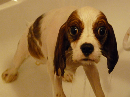 BATH-HATER-62.jpg