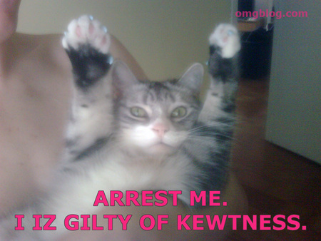 anderson-pooper-hands-up.jpg