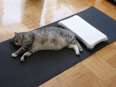 anderson-wii-fit.JPG