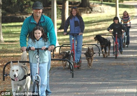 article-1118722-0313A49D000005DC-189_468x328.jpg