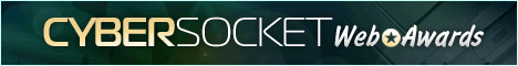 cybersocket-banner.gif