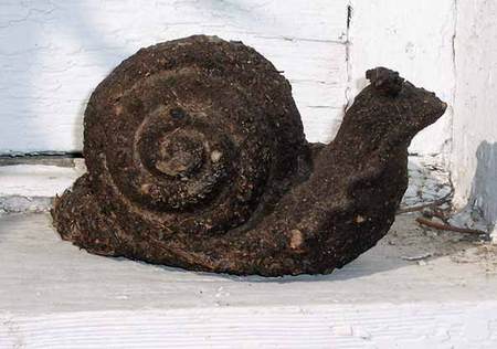 dungsnail1.jpg