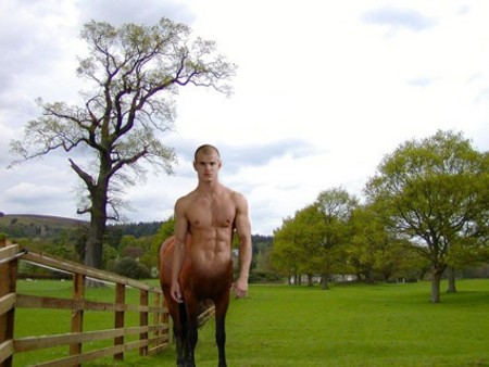 fencecentaur.jpg