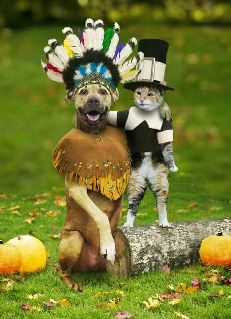happyturkeyday.jpg