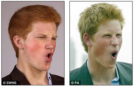 harryLover.png