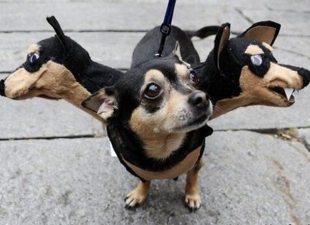 petcostume2.jpg