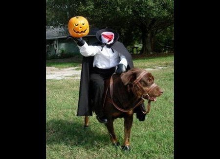petcostume6.jpg