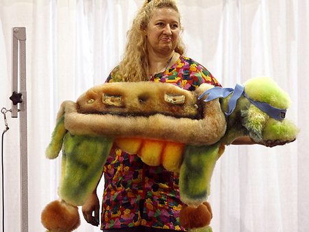 poodle-ninja-turtle.jpg