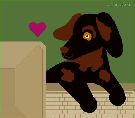 qc-dogtyping-d2003.gif