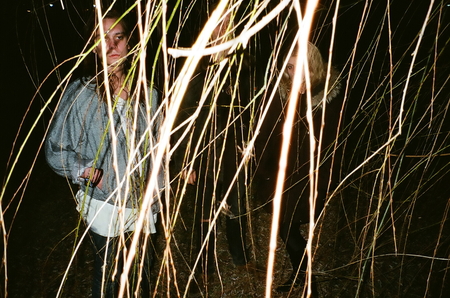 salem forest.jpg