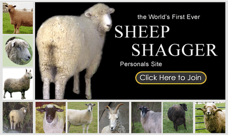 sheepshagger.png