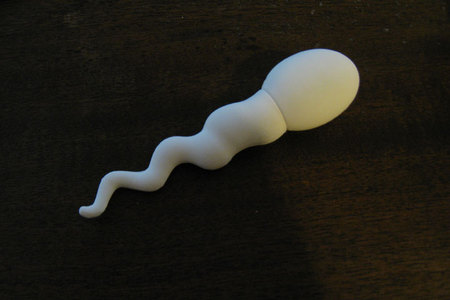 sperm-drive-1.jpg