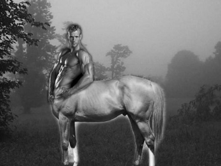 taur.jpg