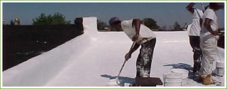 whiteroof.jpg