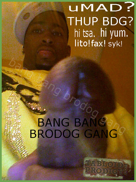 willie3.jpg