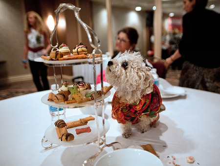 woofstockwedding_1.jpg