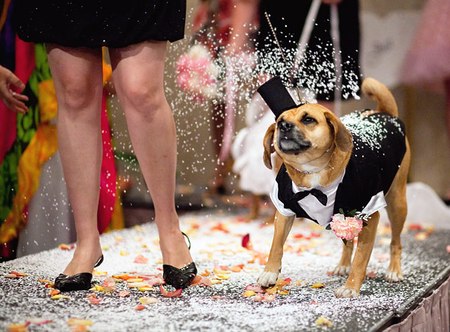 woofstockwedding_15.jpg