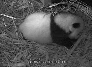 yun-zi-02.jpg
