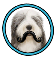 Picture 9.png
