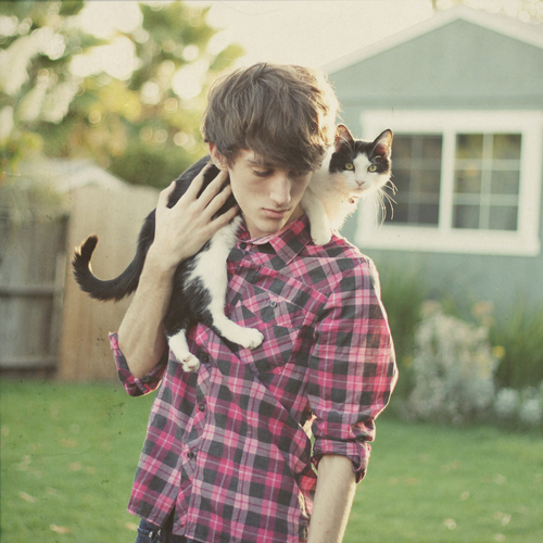 boysandcats1.jpg