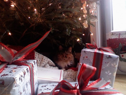 catwithpresents.jpg