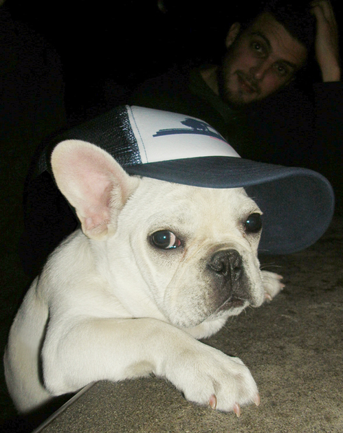 hipster-puppy-06.jpg