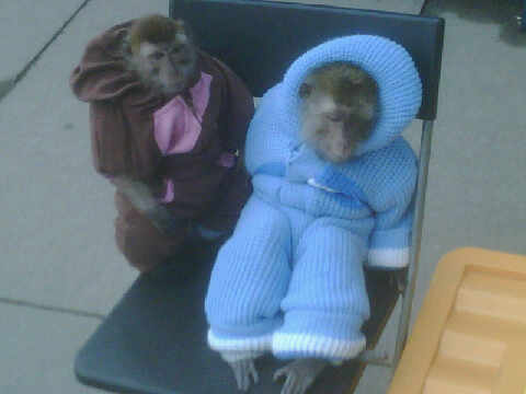 russian-monkeys-jumpsuits.jpg