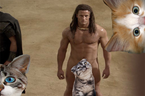spartacuscat2.jpg