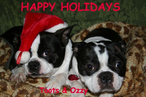 tootsozzy.jpg