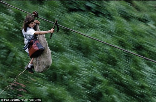 zipline.jpg