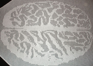 BrainShawl2.jpg