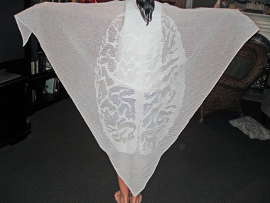 BrainShawl6.jpg