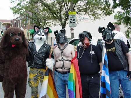 FURRIES_WEB-1.jpg