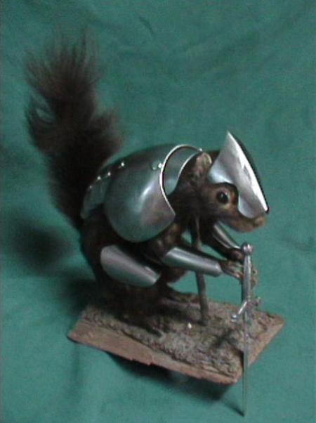 War_Squirrel_elite_2-482x645.jpg