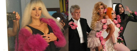 almodovar1 copy.jpg