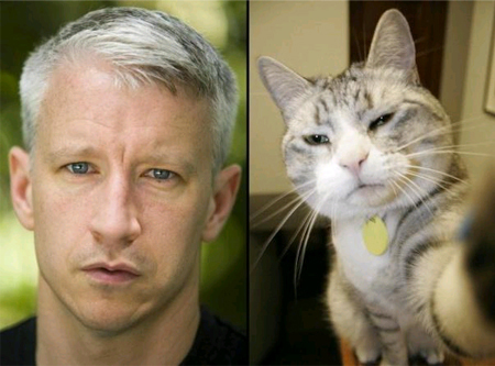 anderson-pooper-cooper.jpg