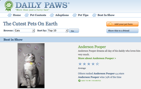 andy-bestinshow.png