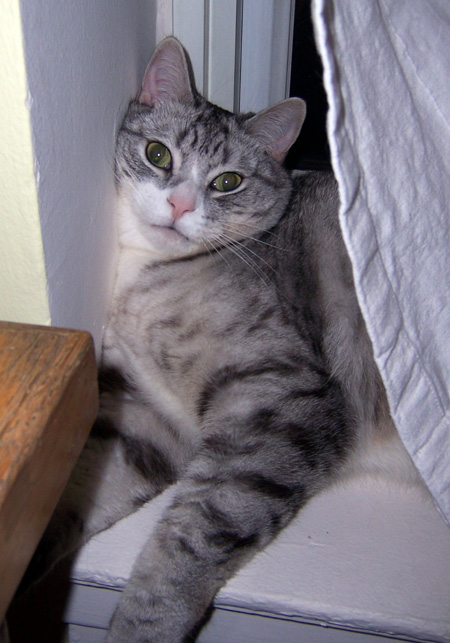 andy-curtain.jpg