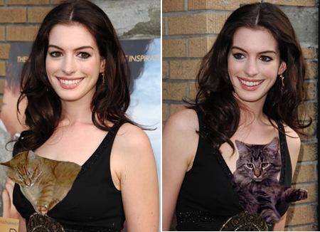 anne-hathaway-cat-boobs.jpg