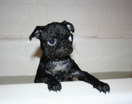 bath1.jpg