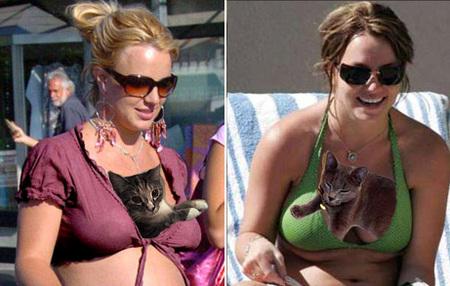 britney-spears-cat-boobs.jpg