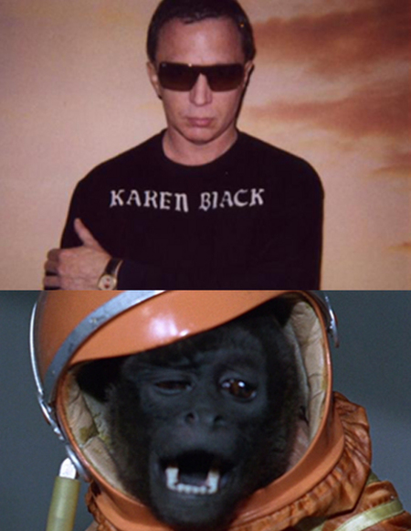 bruce-monkey.jpg