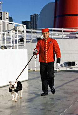 bulldog-cruise.jpg