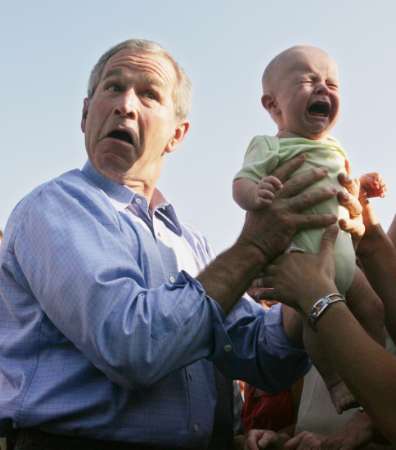 bush-baby.jpg