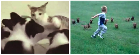 chase.png