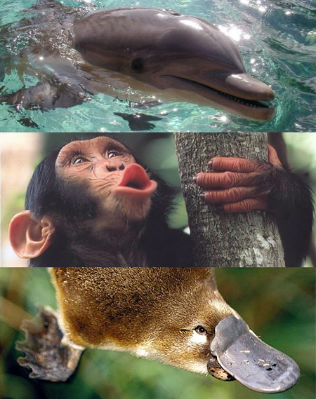 cute.jpg